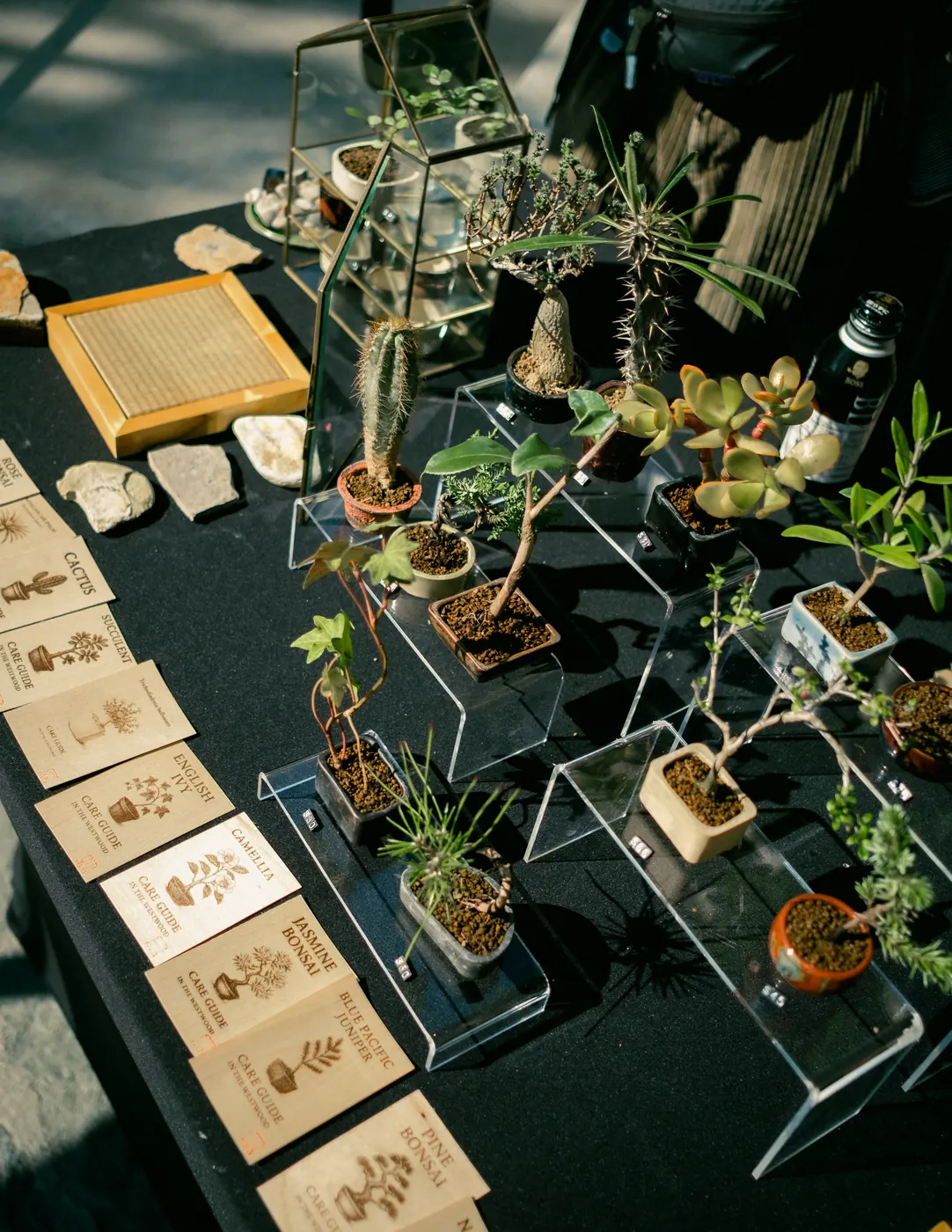 Bonsai and ceramics laid out on the vendor table