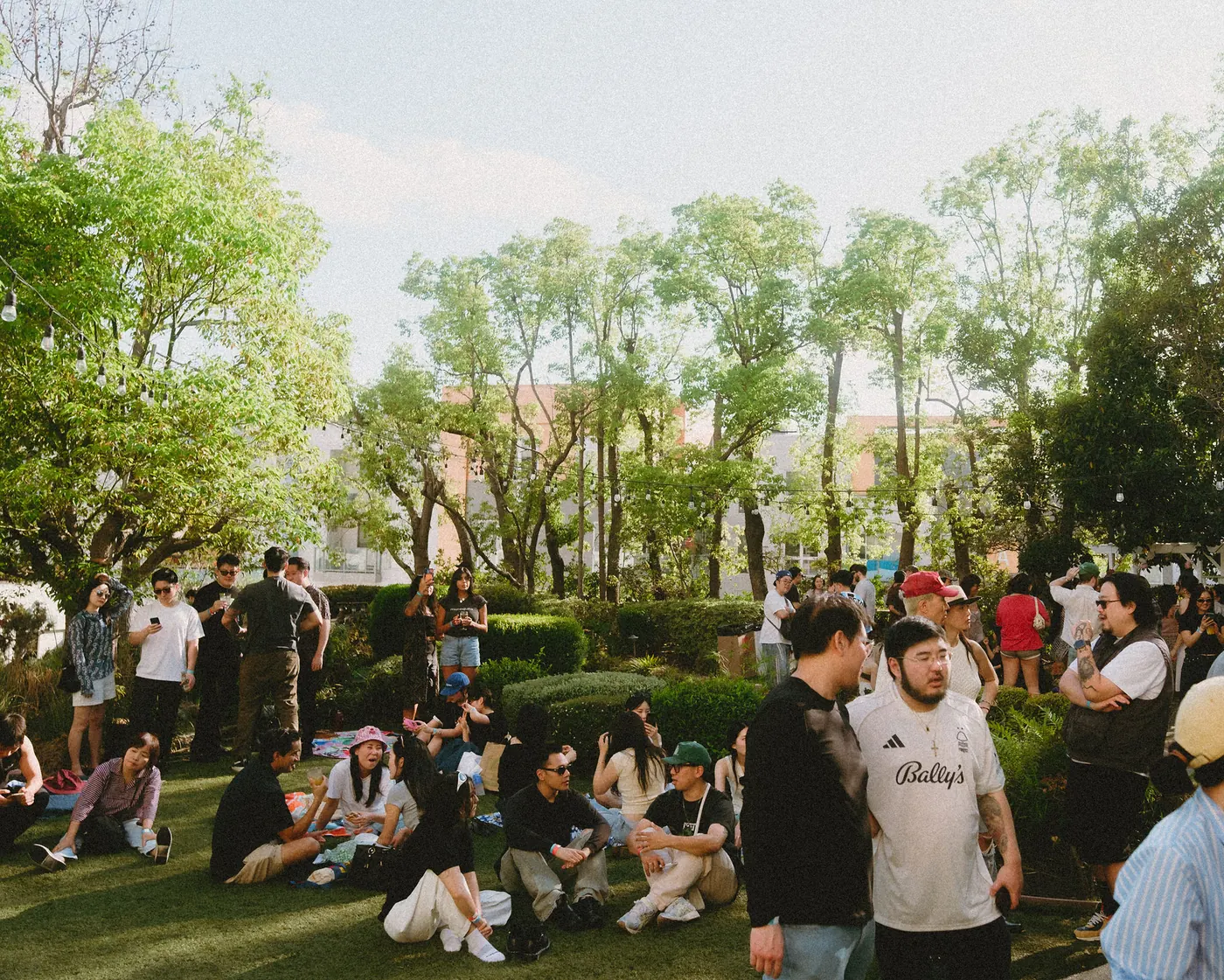 Guests sitting out on the lawn between sets