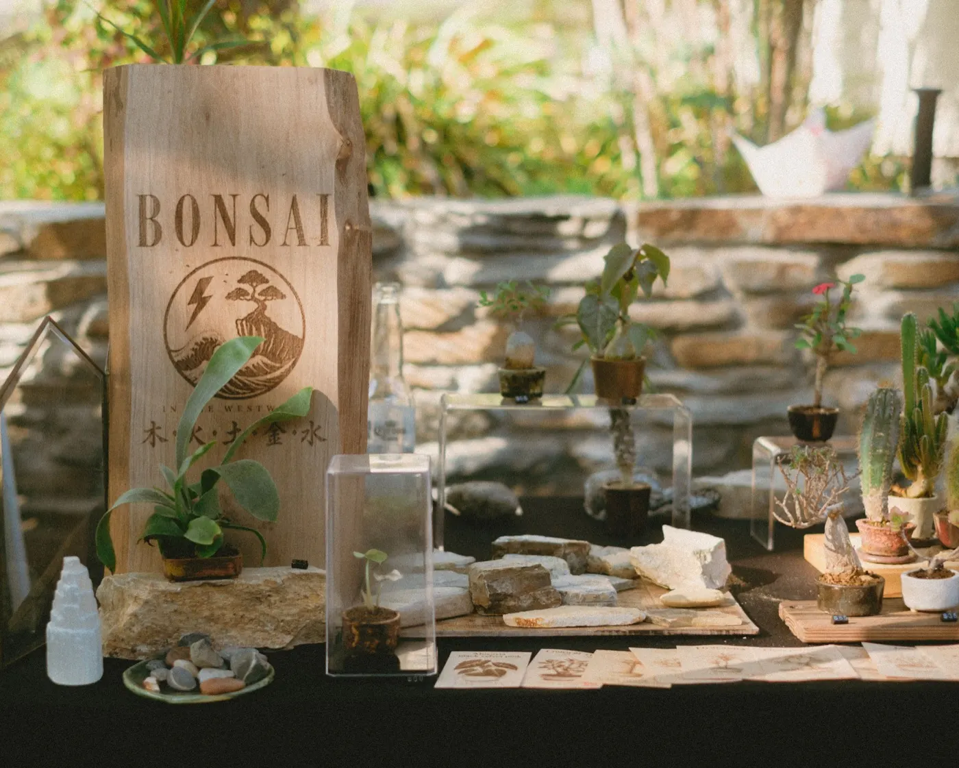 Bonsai vendor table with small potted bonsai trees and a wooden BONSAI sign
